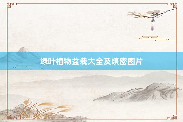 绿叶植物盆栽大全及缜密图片