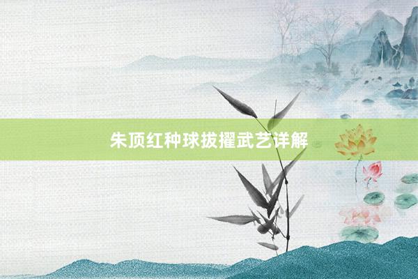 朱顶红种球拔擢武艺详解