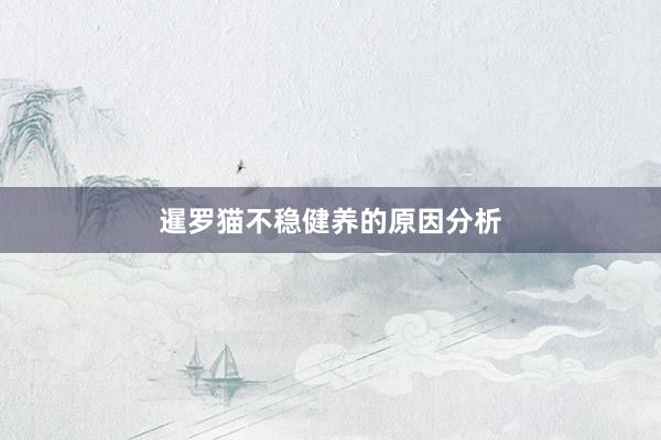 暹罗猫不稳健养的原因分析