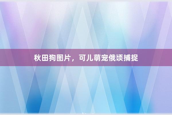 秋田狗图片,可儿萌宠俄顷捕捉